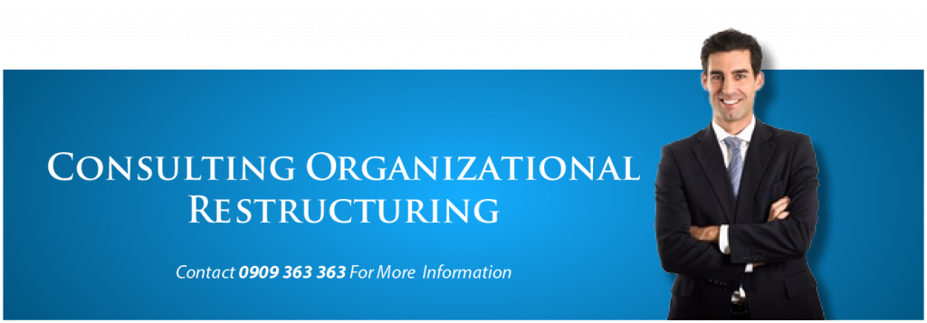 Organizational Restructuring Consulting-19