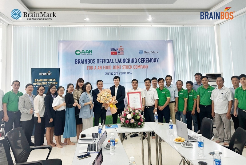 BrainMark tư vấn xây dựng khung năng lực
